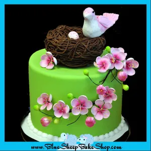 Baby Bird Baby Shower Cake
