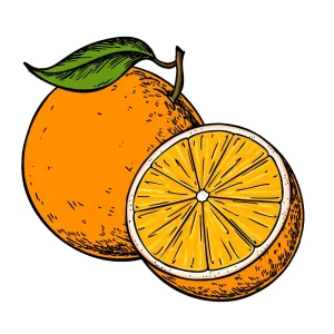Citrus Orange Essential Oil