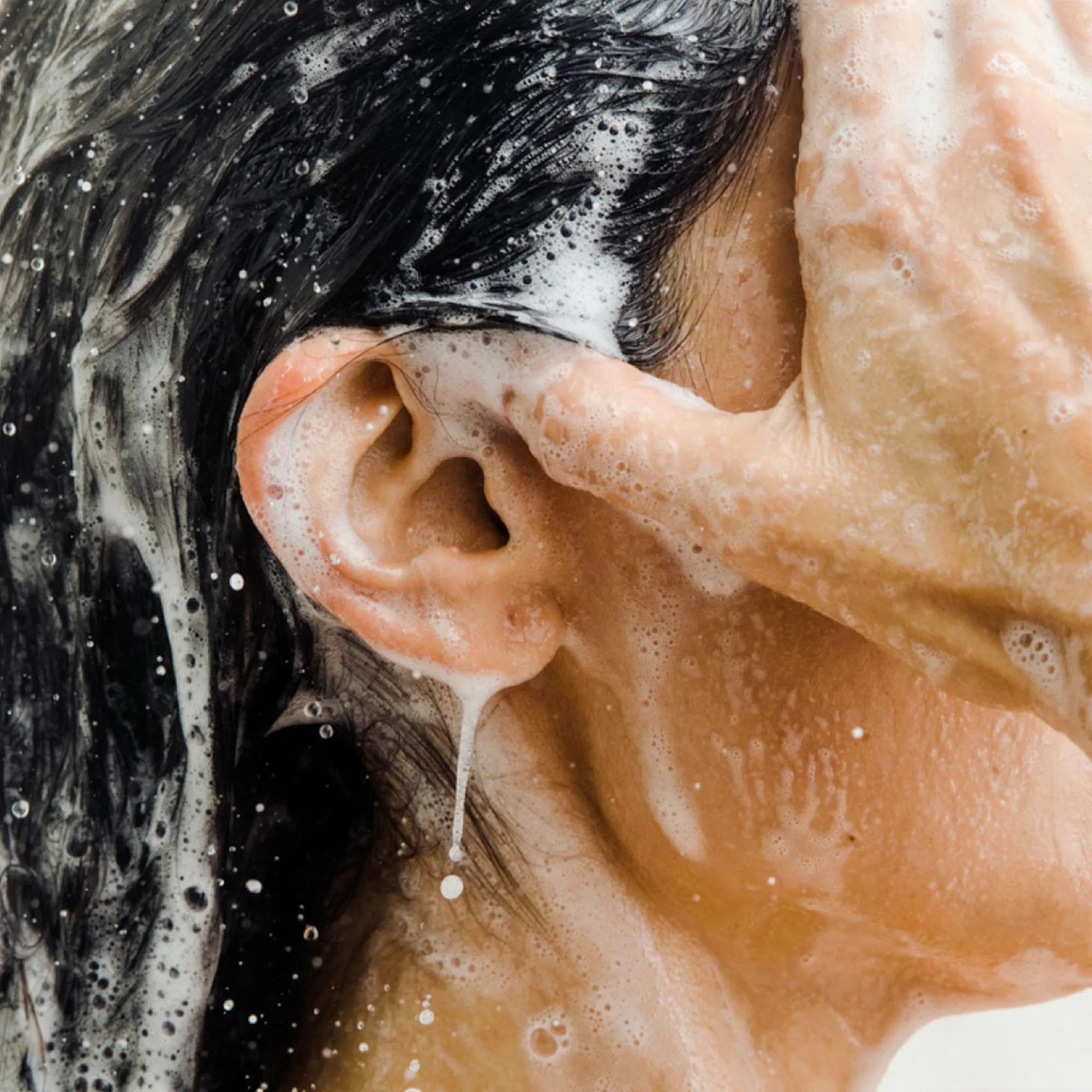 Hydrating shampoo and conditioner duo : SUPER LEAVES™ | ESSENTIAL OILS
