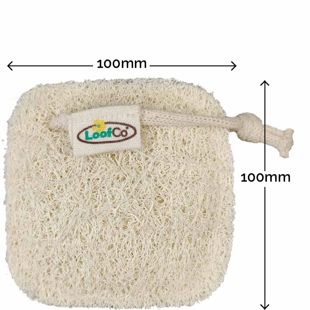 LoofCo Sustainable Loofah Cleaning Pads - 2 Pack