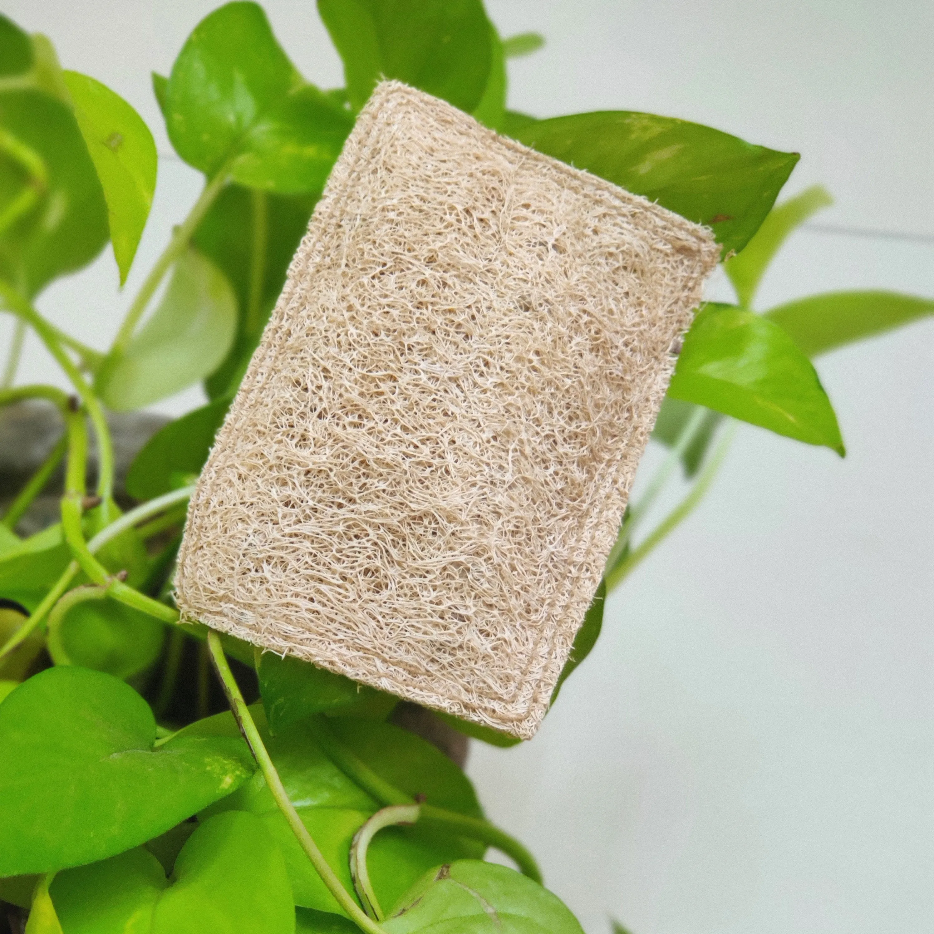 Natural Loofah Dish scrub pads | Pack of 4