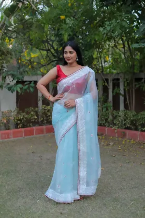 Pale Blue Organza Embroidery Saree