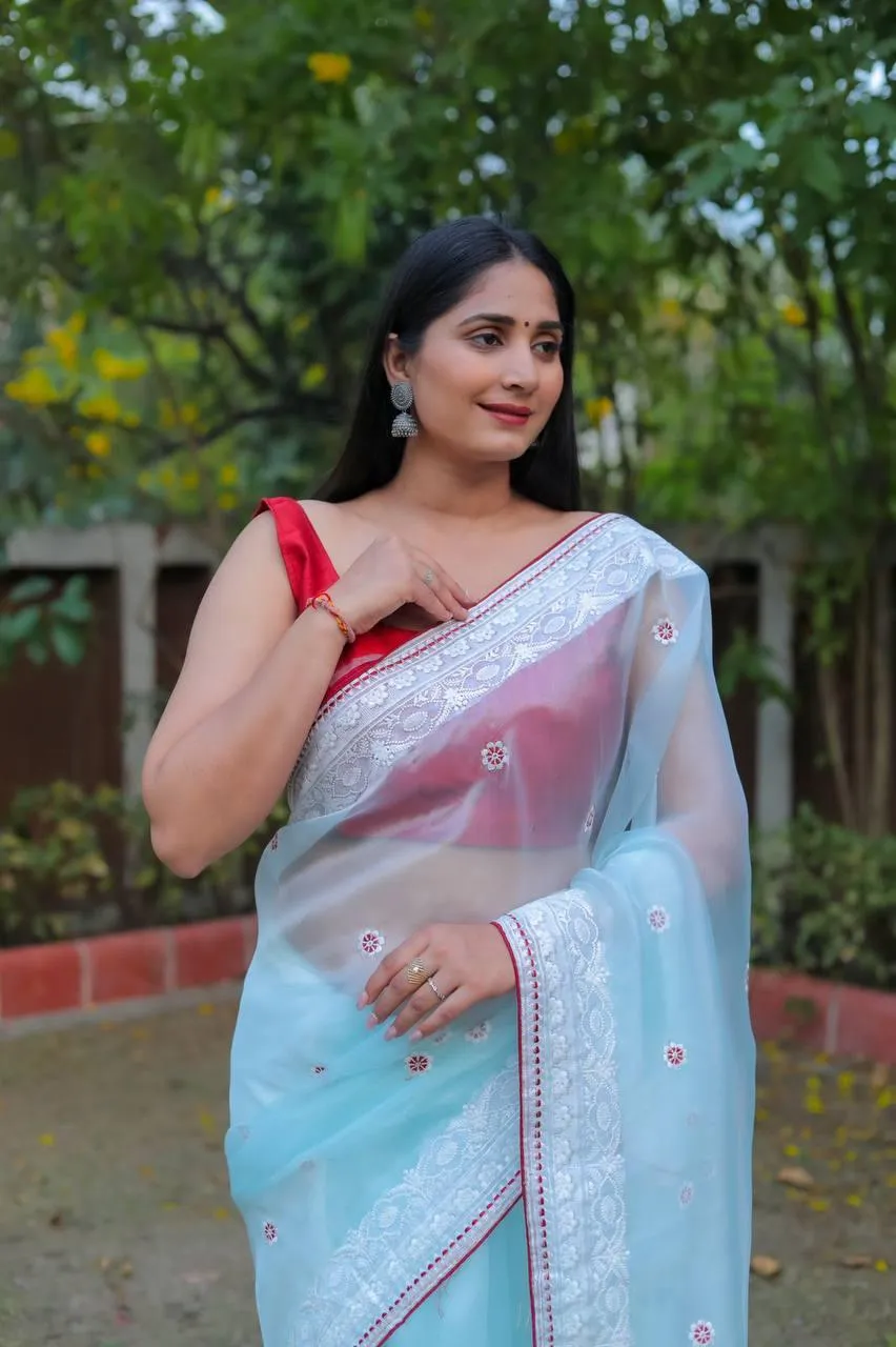 Pale Blue Organza Embroidery Saree