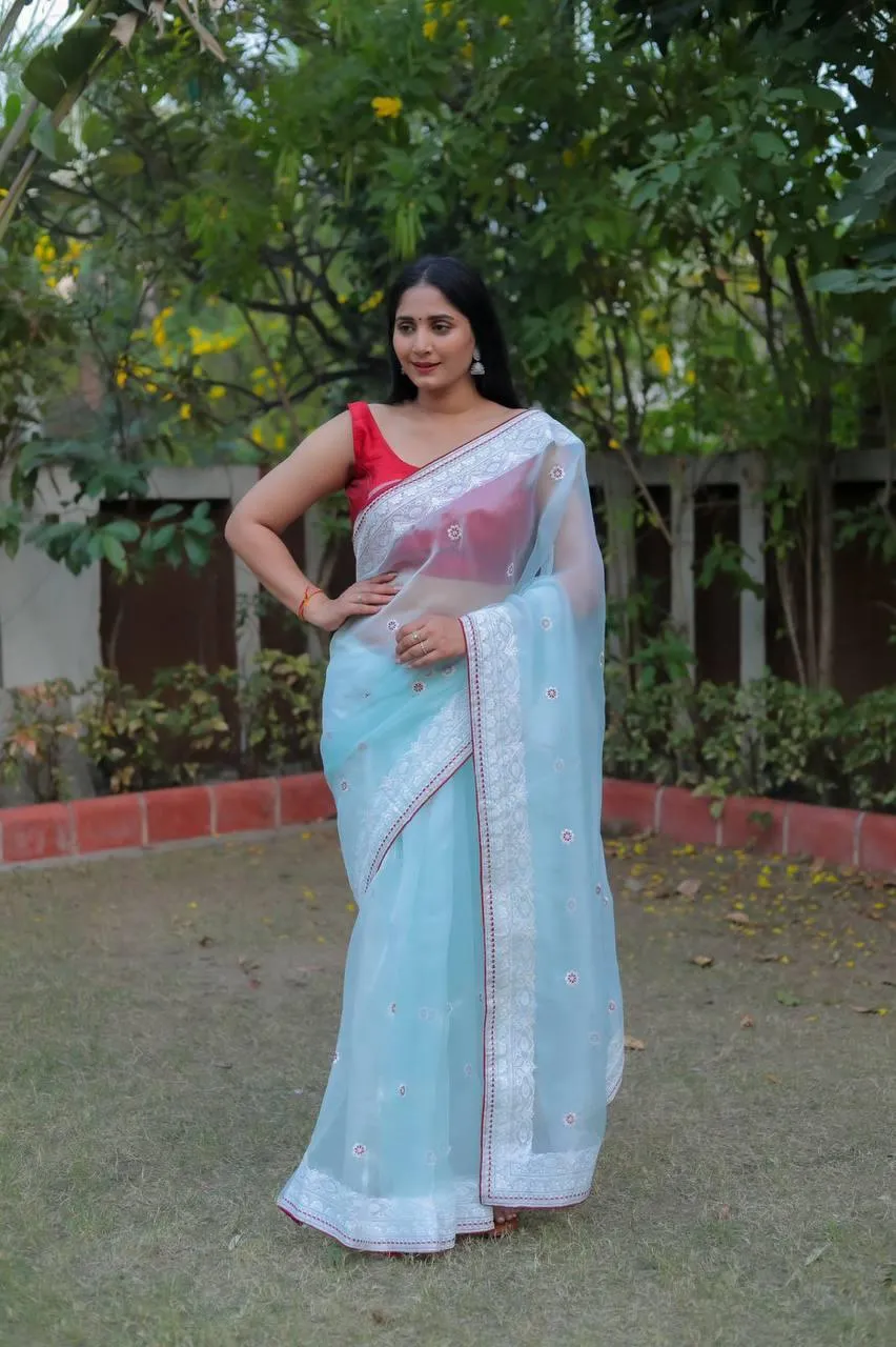 Pale Blue Organza Embroidery Saree