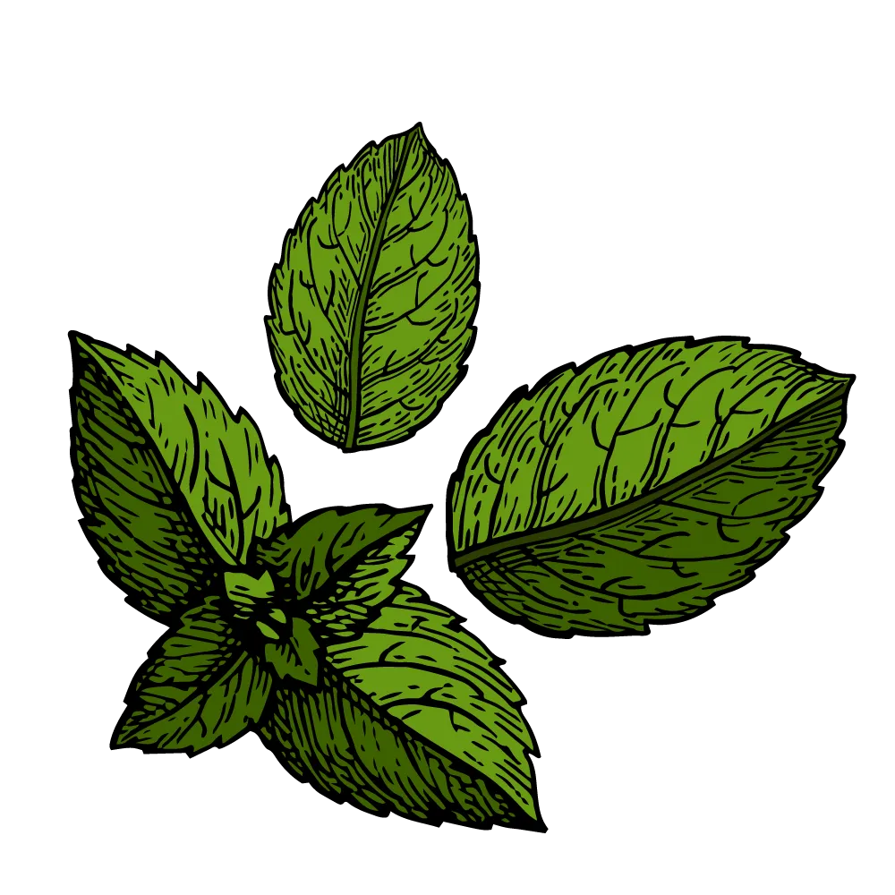 Pure Peppermint Essential Oil