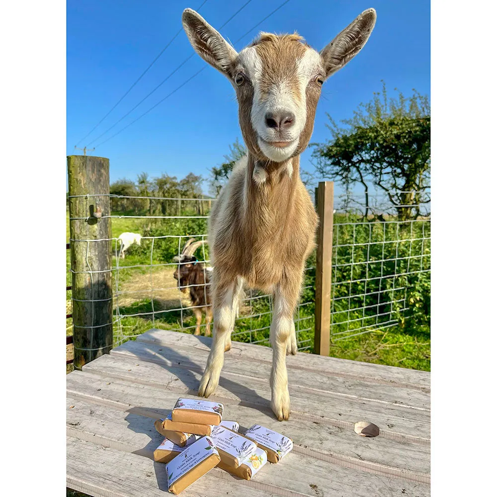 Scottish Goats Milk Soap - Natural 95g